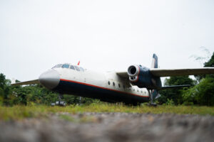 airplane landed in grassy field